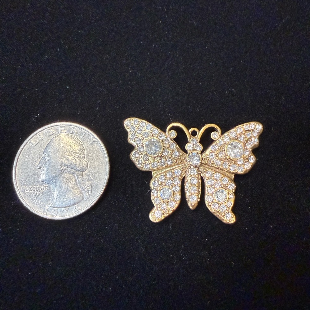 Fashion Butterfly - Picture 2 of 2